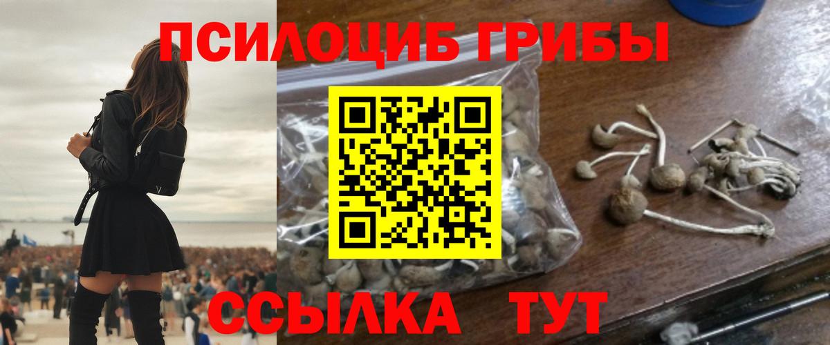 Псилоцибиновые грибы Magic Shrooms Печора